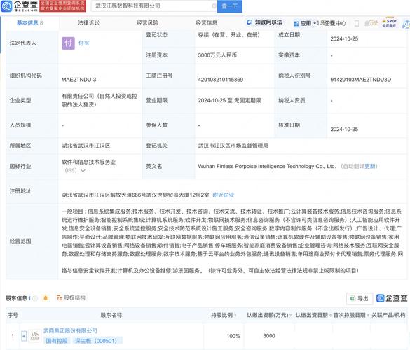 为付有,经营范围涵盖人工智能应用软件开发,物联网技术研发